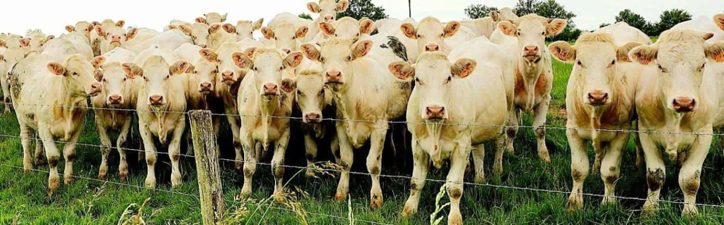 La Vache Tennis Prive Crux-la-Ville Экстерьер фото